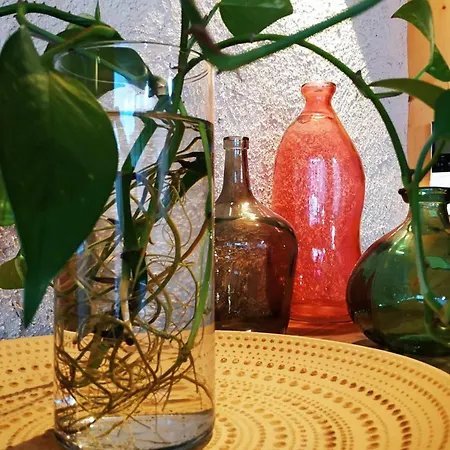 La Mona Casa de Férias