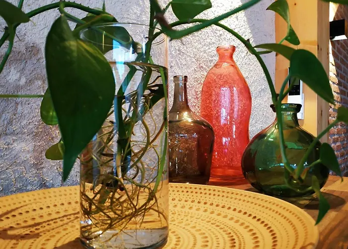 La Mona Hébergement de vacances